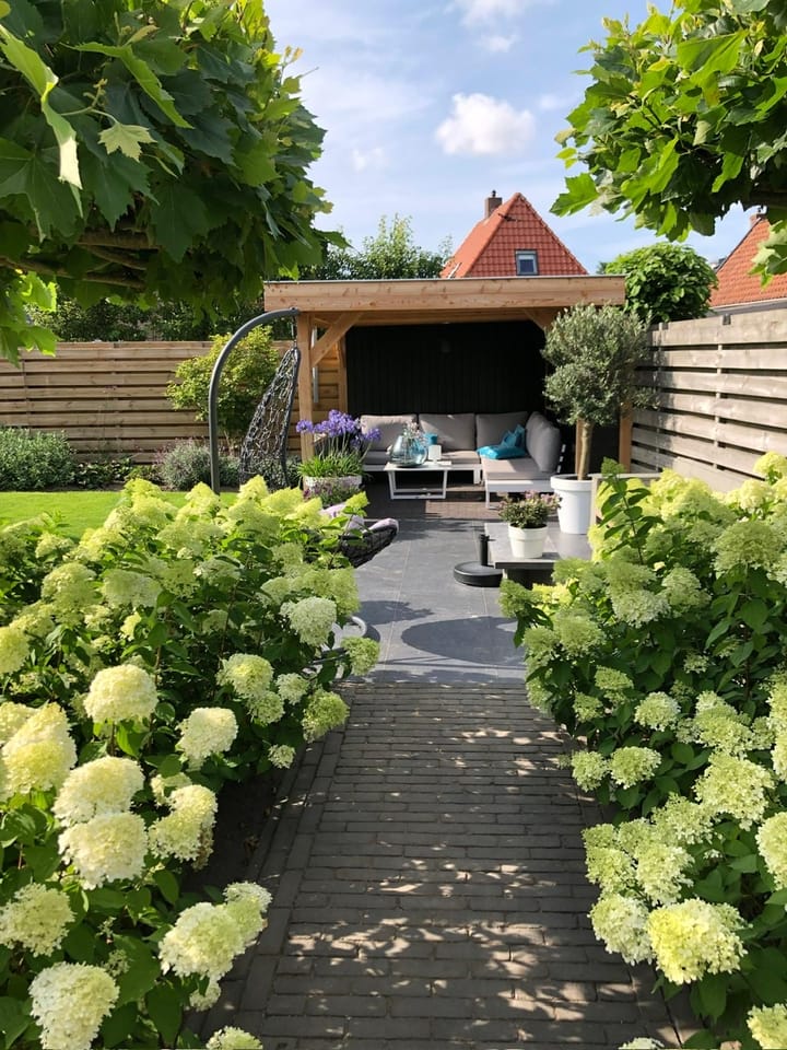 Foto 54 van P.B. Winsemiusstrjitte 29