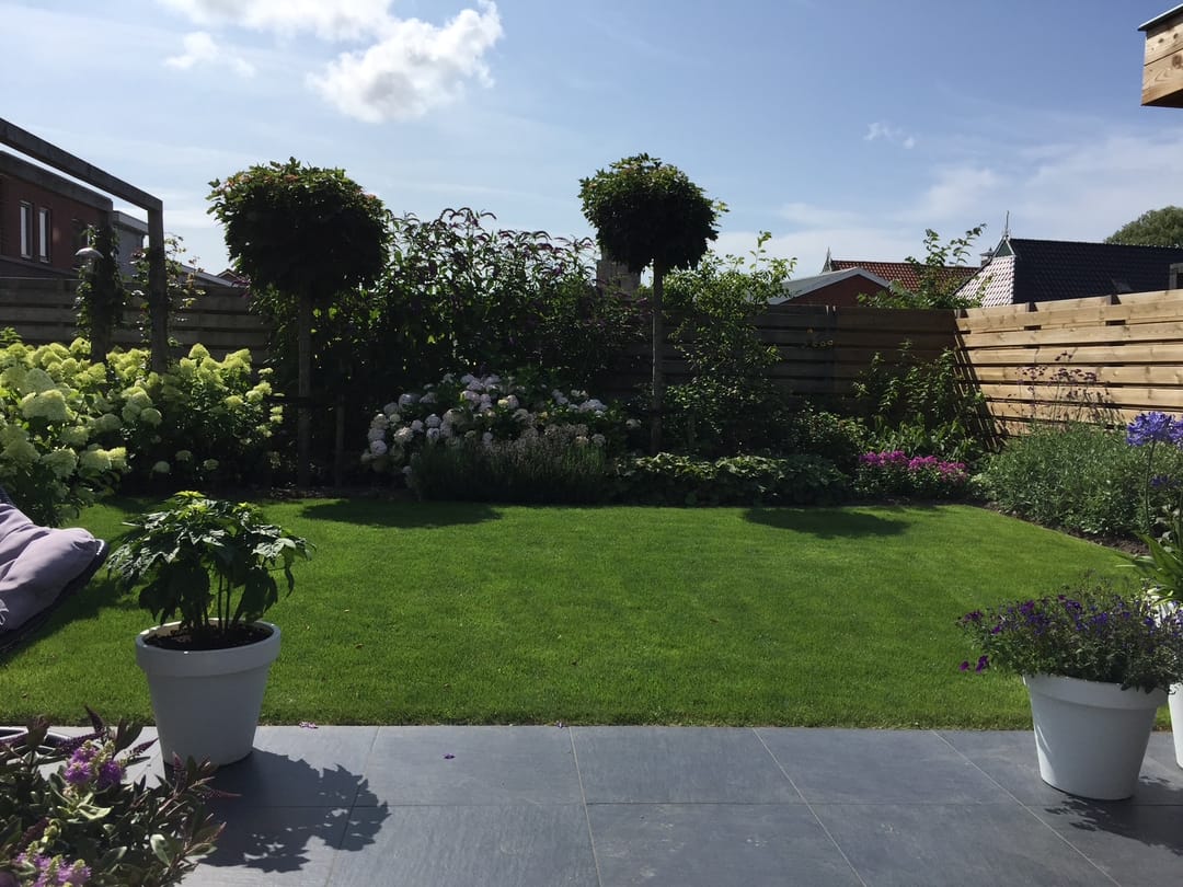 Foto 56 van P.B. Winsemiusstrjitte 29