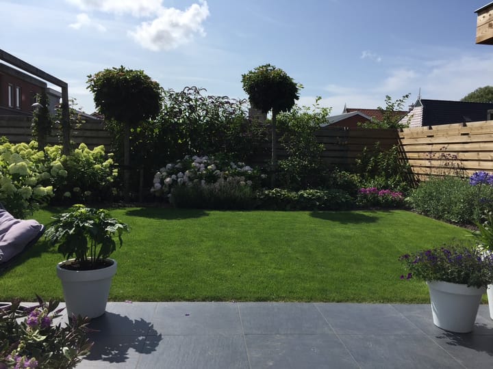 Foto 56 van P.B. Winsemiusstrjitte 29