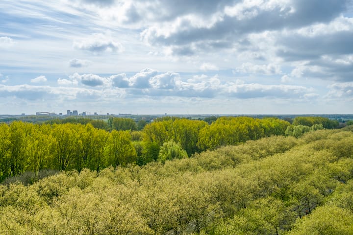 Foto 22 van Arent Janszoon Ernststraat 51