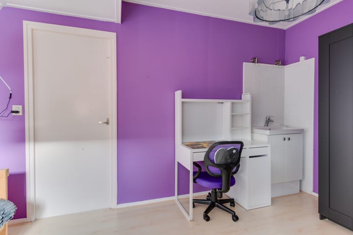 Foto 24 van Dijk 100