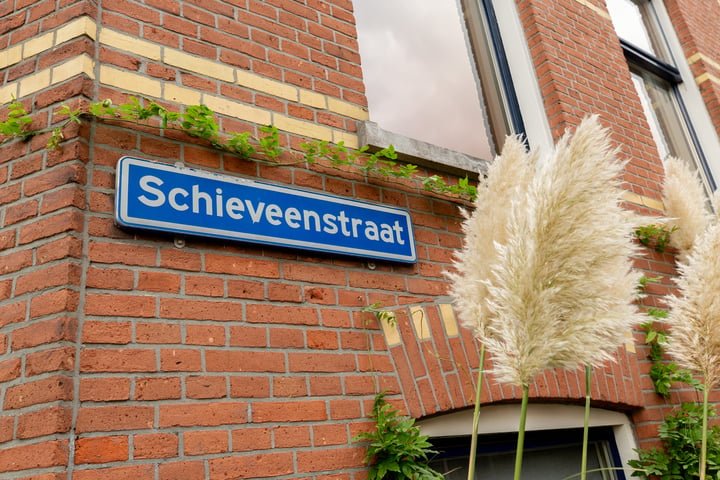 Bekijk foto 48 van Schieveenstraat 44