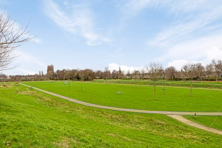 Foto 41 van Ad van der Steurzoom 36