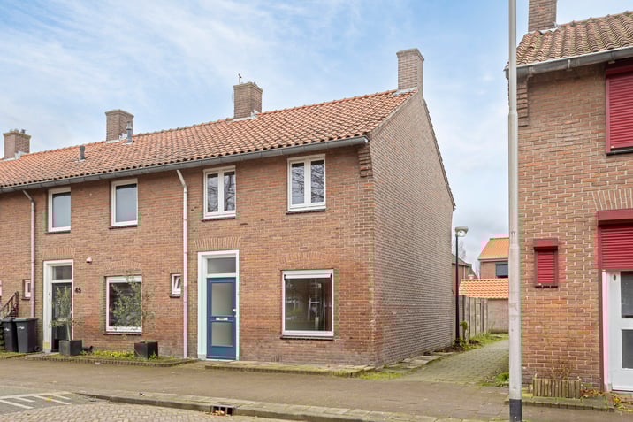 undefined main image