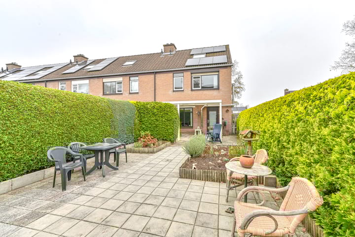 Foto 1 van Slechtvalk 61