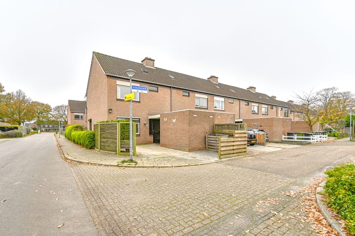 Foto 3 van Slechtvalk 61