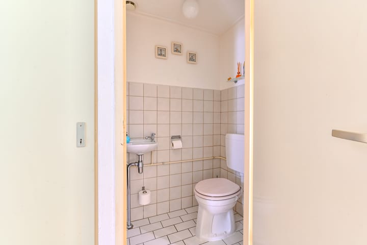 Foto 8 van Slechtvalk 61