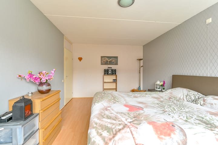 Foto 24 van Slechtvalk 61