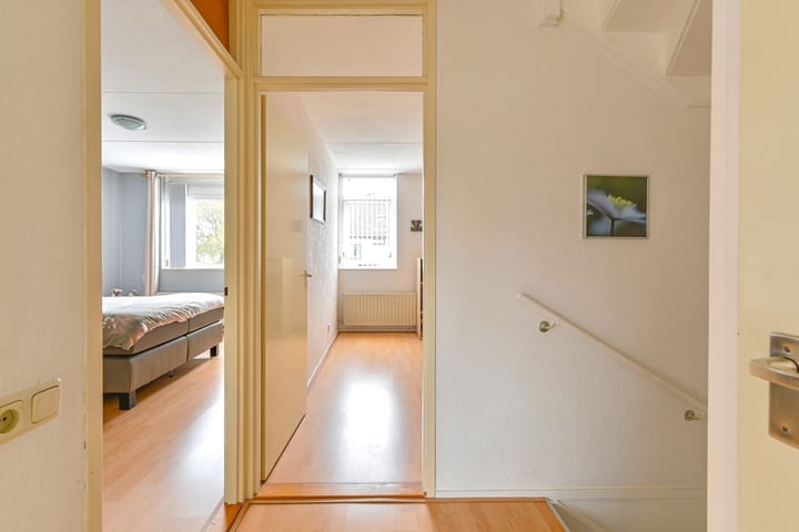 Foto 26 van Slechtvalk 61