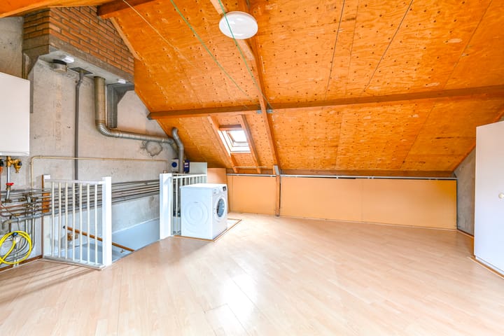 Foto 36 van Slechtvalk 61