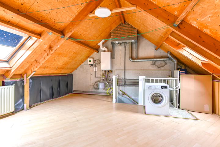 Foto 37 van Slechtvalk 61