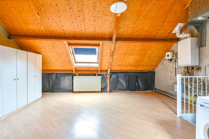 Foto 38 van Slechtvalk 61