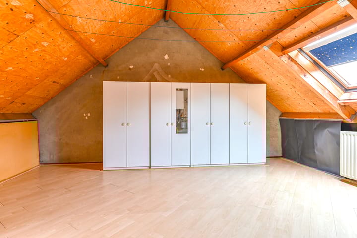 Foto 39 van Slechtvalk 61