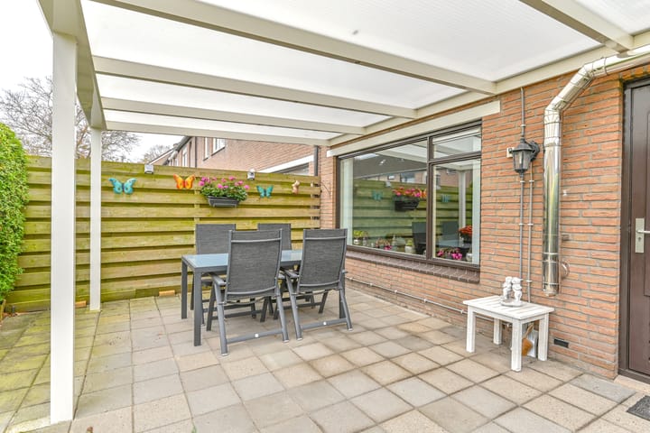 Foto 40 van Slechtvalk 61