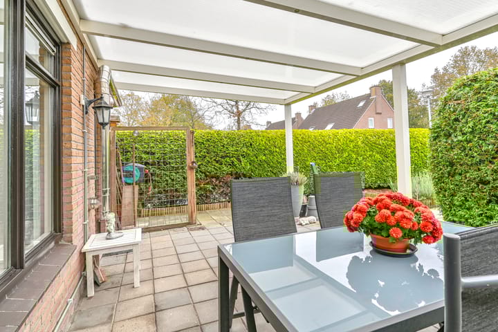 Foto 41 van Slechtvalk 61