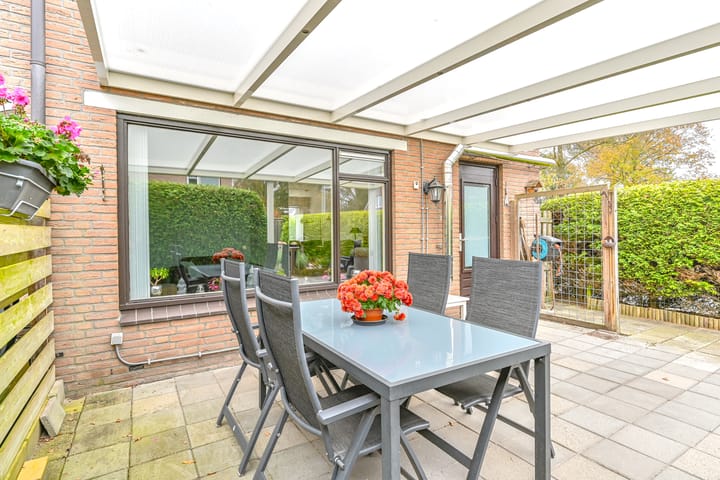 Foto 43 van Slechtvalk 61