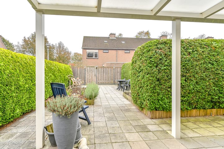 Foto 44 van Slechtvalk 61