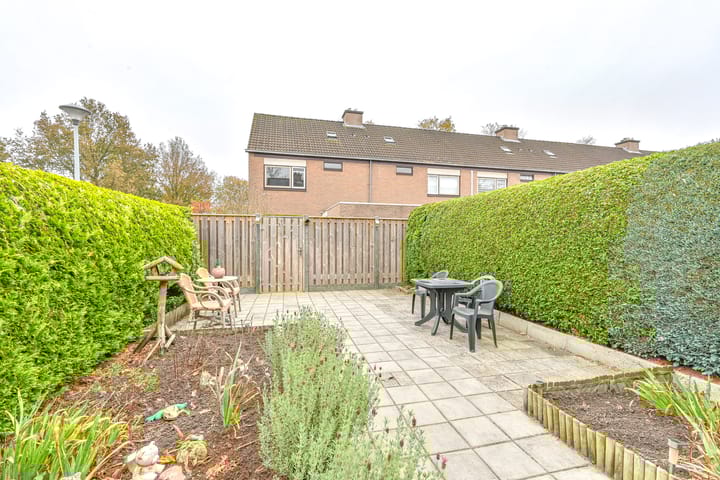 Foto 45 van Slechtvalk 61