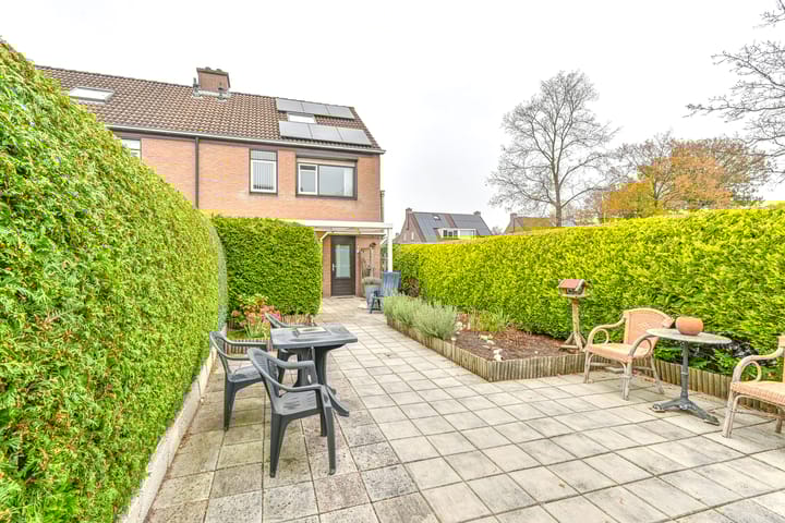 Foto 46 van Slechtvalk 61