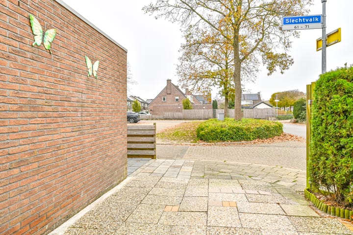 Foto 47 van Slechtvalk 61