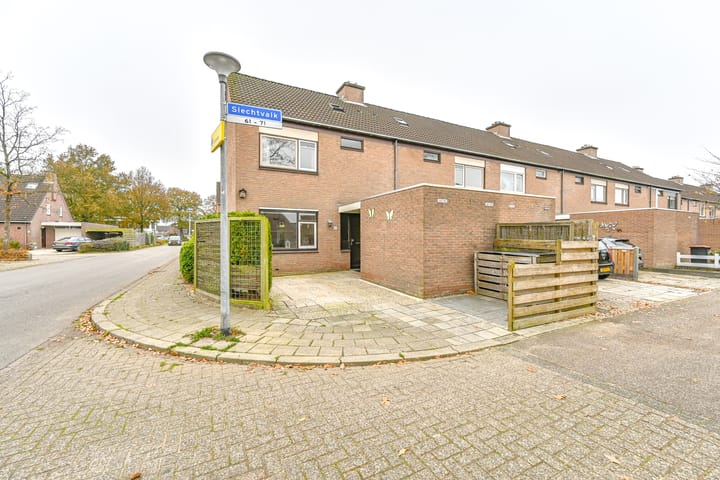 Foto 48 van Slechtvalk 61