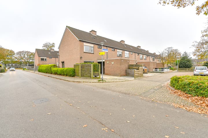 Foto 49 van Slechtvalk 61