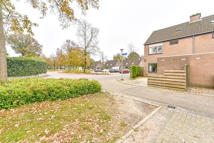 Foto 50 van Slechtvalk 61