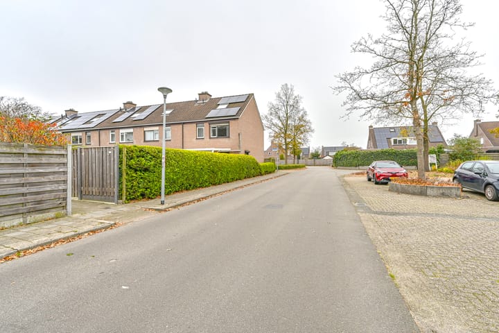 Foto 51 van Slechtvalk 61