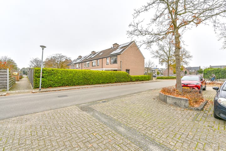 Foto 52 van Slechtvalk 61