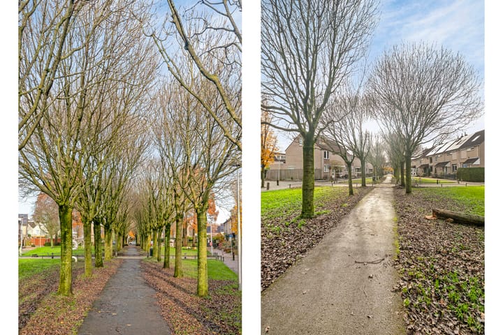 Foto 35 van Johannes Chr. Bendorpstraat 20