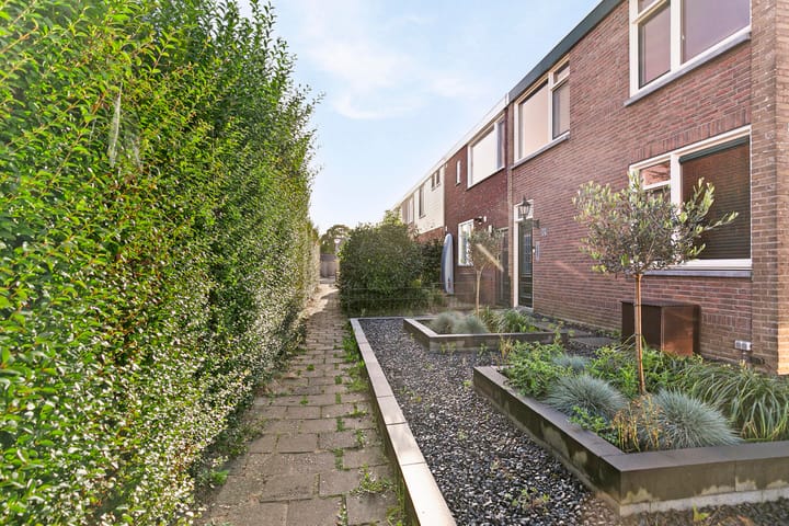 Foto 6 van Violierstraat 28