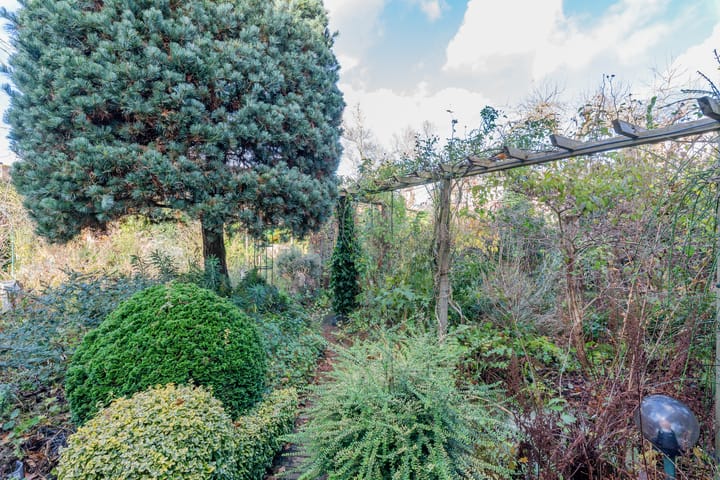 Foto 10 van Distelvink 46