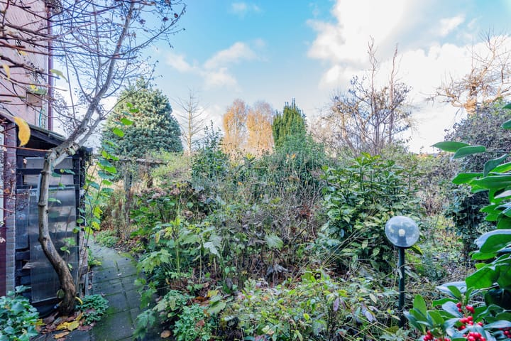 Foto 11 van Distelvink 46