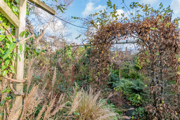 Foto 23 van Distelvink 46