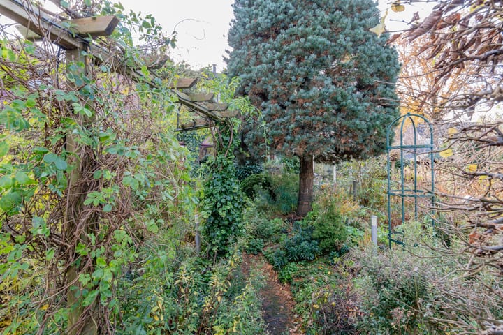 Foto 24 van Distelvink 46