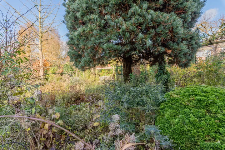 Foto 29 van Distelvink 46