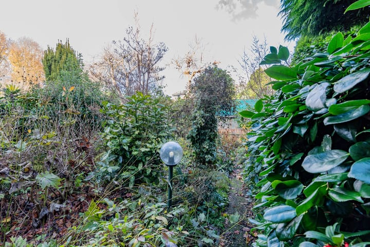 Foto 30 van Distelvink 46