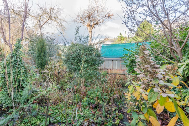 Foto 31 van Distelvink 46