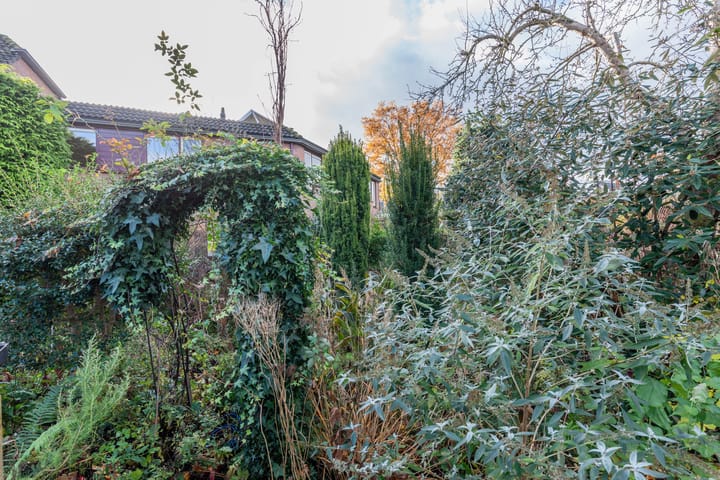 Foto 32 van Distelvink 46