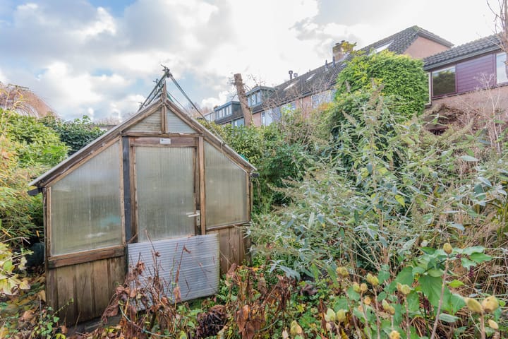 Foto 34 van Distelvink 46