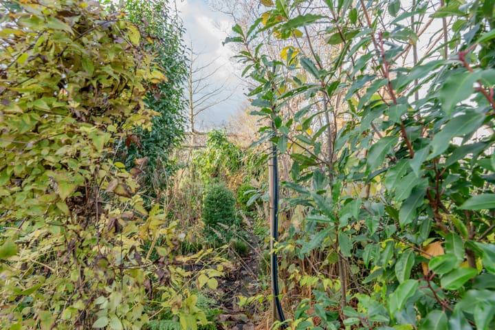 Foto 33 van Distelvink 46