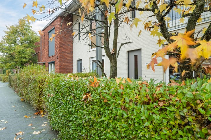 Foto 44 van Van den Broekstraat 108