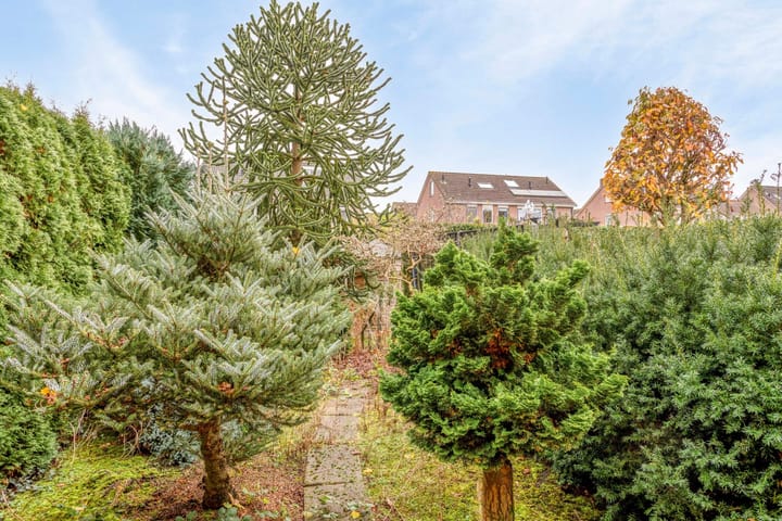 Foto 31 van Rietgors 42