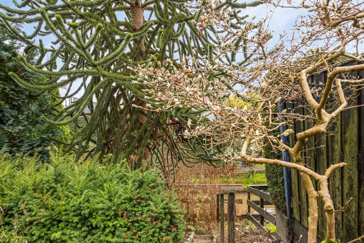 Foto 32 van Rietgors 42