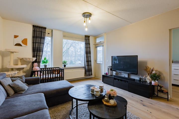 Foto 2 van Majoraan 25