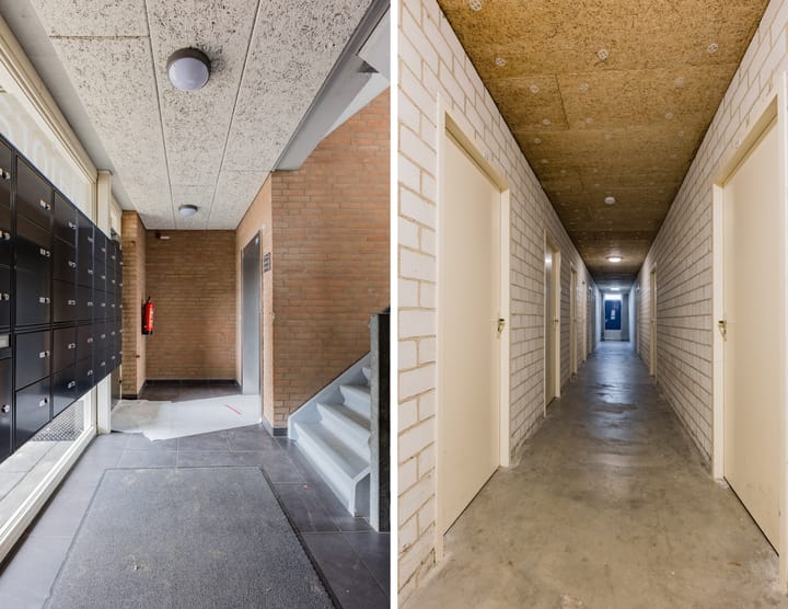 Foto 17 van Majoraan 25