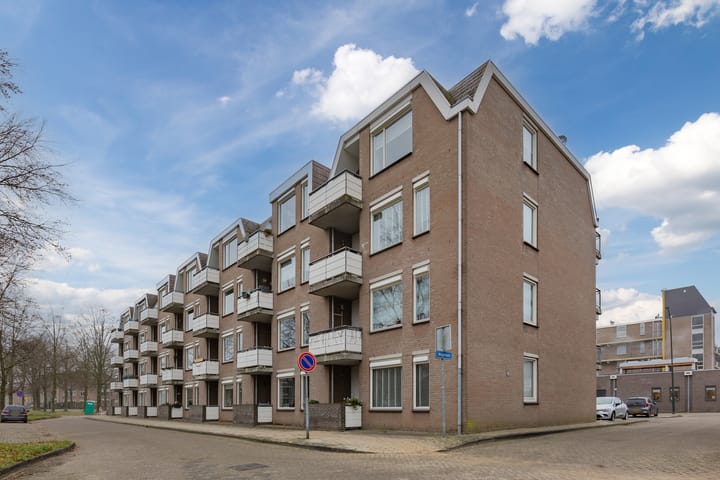 Foto 18 van Majoraan 25