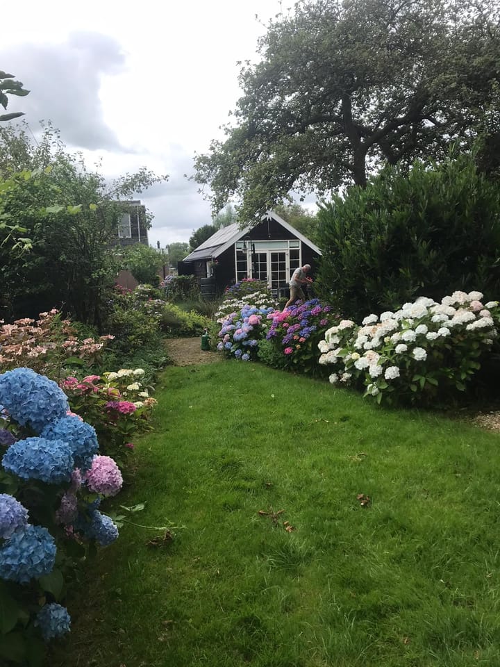 Foto 44 van Dwarssteeg 7