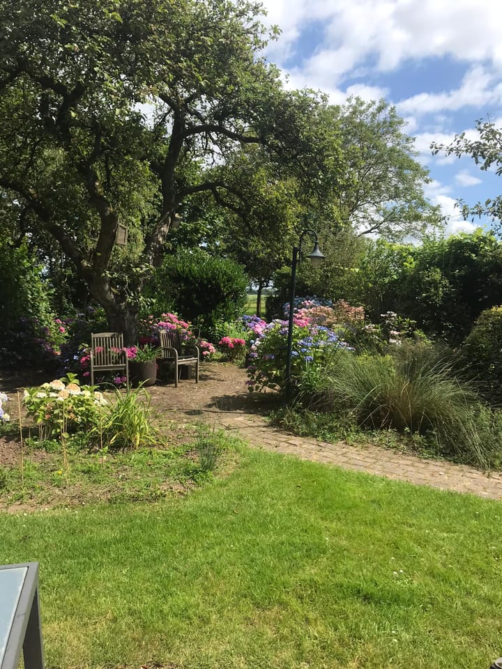 Foto 46 van Dwarssteeg 7