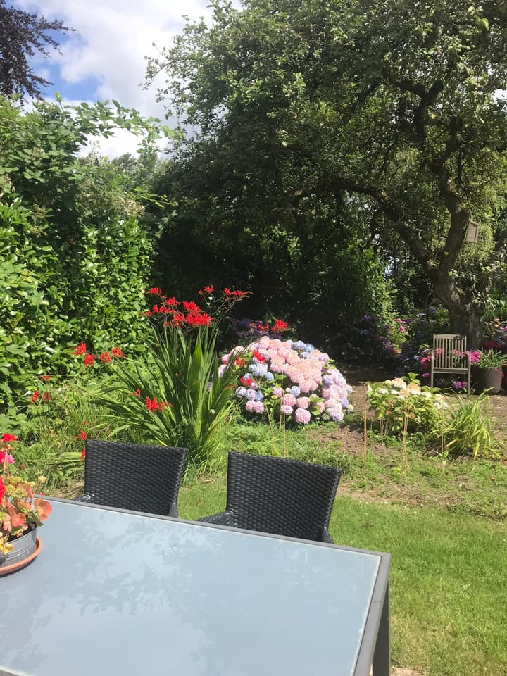 Foto 47 van Dwarssteeg 7